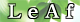shinyleaf2